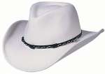 Chapeau Stetson AMASA