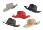 Chapeau australien olivia marque LAST REBELS