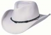 Chapeau Stetson AMASA